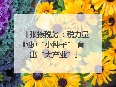 张掖税务：税力量呵护“小种子” 育出“大产业”