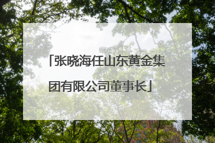 张晓海任山东黄金集团有限公司董事长