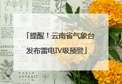 提醒！云南省气象台发布雷电Ⅳ级预警
