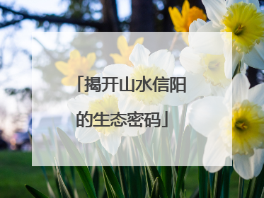 揭开山水信阳的生态密码
