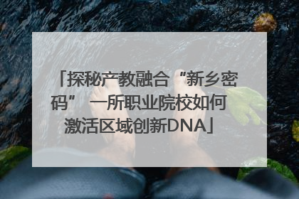 探秘产教融合“新乡密码” 一所职业院校如何激活区域创新DNA