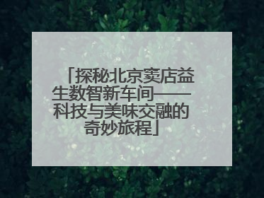 探秘北京窦店益生数智新车间——科技与美味交融的奇妙旅程