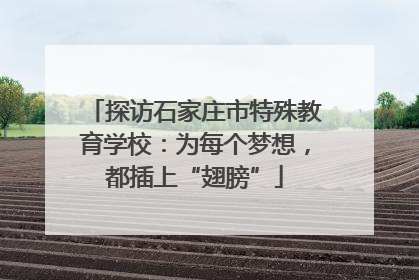 探访石家庄市特殊教育学校：为每个梦想，都插上“翅膀”