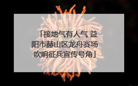 接地气有人气 益阳市赫山区龙舟赛场吹响征兵宣传号角