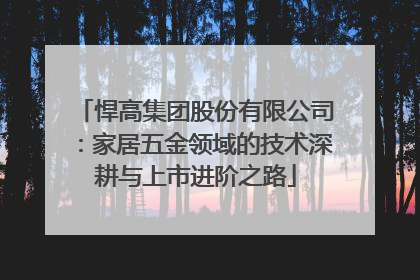 悍高集团股份有限公司：家居五金领域的技术深耕与上市进阶之路