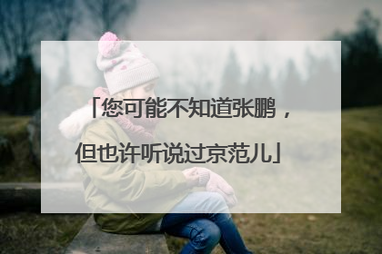 您可能不知道张鹏，但也许听说过京范儿