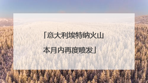 意大利埃特纳火山本月内再度喷发