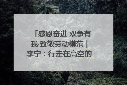感恩奋进 双争有我·致敬劳动模范｜李宁：行走在高空的“电网卫士”