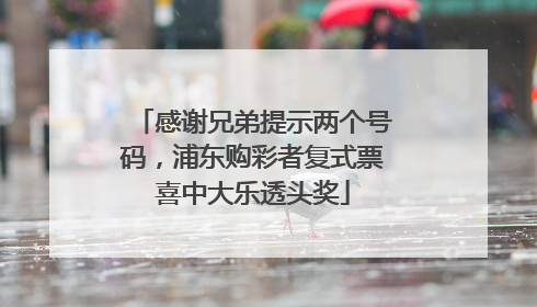 感谢兄弟提示两个号码，浦东购彩者复式票喜中大乐透头奖