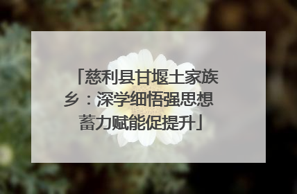 慈利县甘堰土家族乡：深学细悟强思想 蓄力赋能促提升