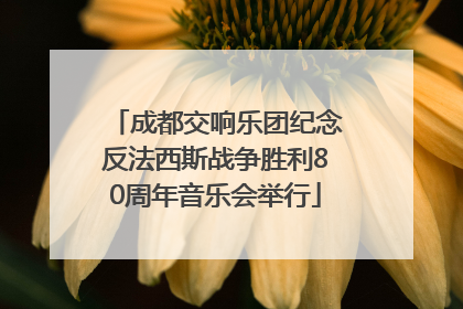 成都交响乐团纪念反法西斯战争胜利80周年音乐会举行