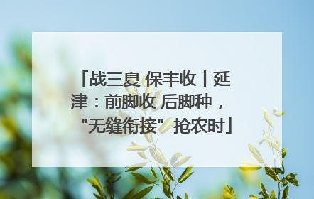 战三夏 保丰收丨延津：前脚收 后脚种，“无缝衔接”抢农时