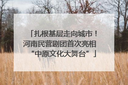 扎根基层走向城市！河南民营剧团首次亮相“中原文化大舞台”