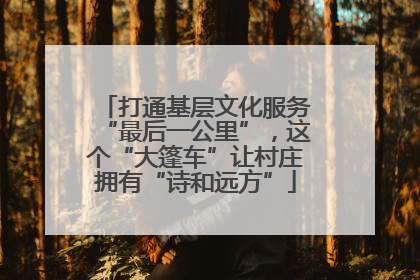 打通基层文化服务“最后一公里”，这个“大篷车”让村庄拥有“诗和远方”