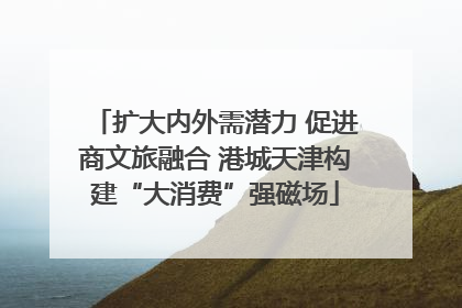 扩大内外需潜力 促进商文旅融合 港城天津构建“大消费”强磁场
