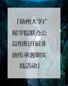 扬州大学广陵学院联合公益组织开展非遗传承暑期实践活动