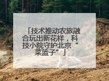 技术推动农旅融合玩出新花样，科技小院守护北京“菜篮子”