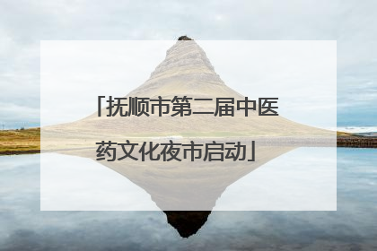 抚顺市第二届中医药文化夜市启动