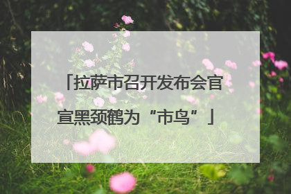拉萨市召开发布会官宣黑颈鹤为“市鸟”