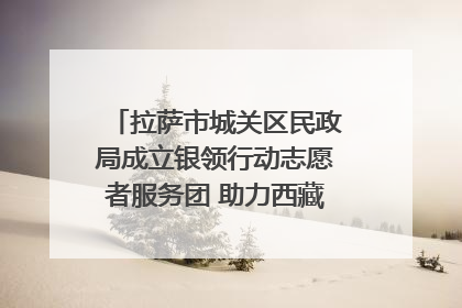 拉萨市城关区民政局成立银领行动志愿者服务团 助力西藏银发经济发展