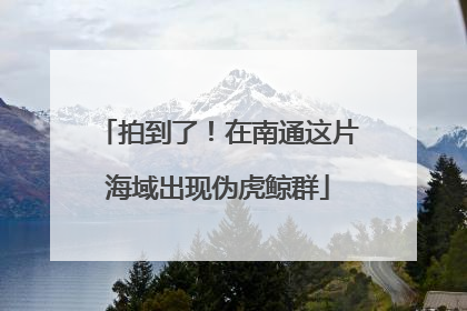 拍到了！在南通这片海域出现伪虎鲸群