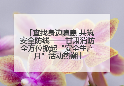 查找身边隐患 共筑安全防线——甘肃消防全方位掀起“安全生产月”活动热潮