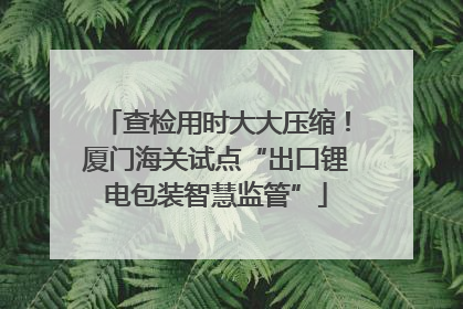 查检用时大大压缩！厦门海关试点“出口锂电包装智慧监管”