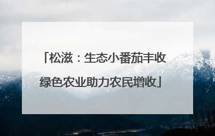 松滋：生态小番茄丰收 绿色农业助力农民增收
