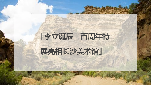 李立诞辰一百周年特展亮相长沙美术馆