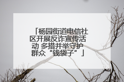 杨园街道电信社区开展反诈宣传活动 多措并举守护群众“钱袋子”