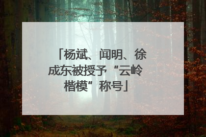 杨斌、闻明、徐成东被授予“云岭楷模”称号