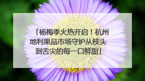 杨梅季火热开启！杭州地利果品市场守护从枝头到舌尖的每一口鲜甜