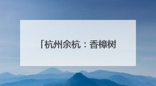 杭州余杭：香樟树下话苕溪 青年合力共建未来坝上生活
