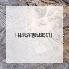 林武在聊城调研