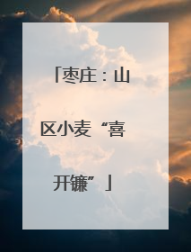 枣庄：山区小麦“喜开镰”
