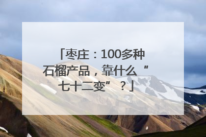 枣庄：100多种石榴产品，靠什么“七十二变”？