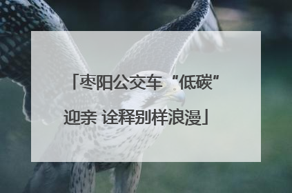 枣阳公交车“低碳”迎亲 诠释别样浪漫