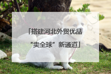 搭建河北外贸优品“卖全球”新通道
