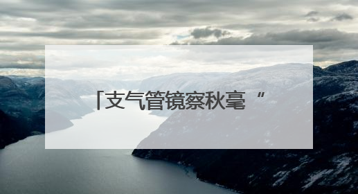 支气管镜察秋毫“镜”到病除惠民生
