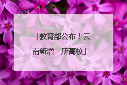 教育部公布！云南新增一所高校