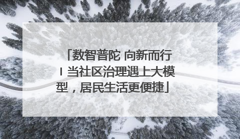 数智普陀 向新而行〡当社区治理遇上大模型，居民生活更便捷