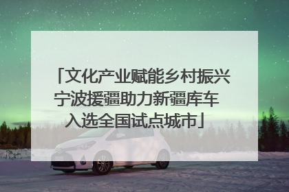 文化产业赋能乡村振兴 宁波援疆助力新疆库车入选全国试点城市