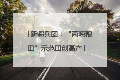 新疆兵团：“两吨粮田”示范田创高产