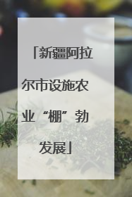 新疆阿拉尔市设施农业“棚”勃发展