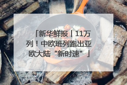 新华鲜报丨11万列！中欧班列跑出亚欧大陆“新时速”