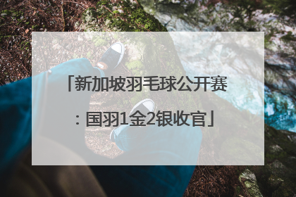 新加坡羽毛球公开赛：国羽1金2银收官