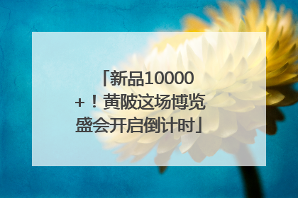 新品10000+！黄陂这场博览盛会开启倒计时