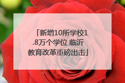 新增10所学校1.8万个学位 临沂教育改革重磅出击