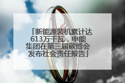 新能源装机累计达613万千瓦，申能集团在第三届碳博会发布社会责任报告