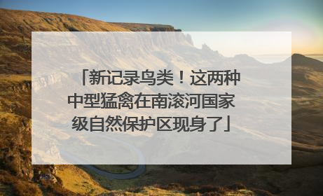 新记录鸟类！这两种中型猛禽在南滚河国家级自然保护区现身了